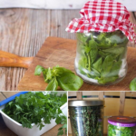 Keep store-bought aromatic herbs fresh for an extended period