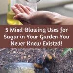 Milk isn’t just for food. Here are 7 reasons to use it in your garden