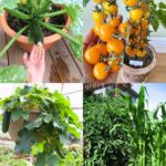 Creative Container Vegetable Garden Ideas in 2023