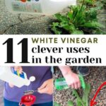 15 Money-saving gardenning tips that will save you hundreds