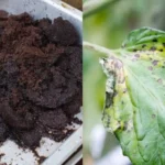 28 Uses For Spent Coffee Grounds You’ll Actually Want To Try