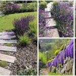 20 Colorful Plants with Bright Flowers for Your Walkways