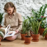 5 houseplants that are low maintenance and almost impossible to kill