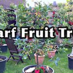 10 Frost Tolerant Vegetables To Grow In Fall