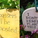 Creative and Useful DIY Gardening Tips That Got Us The Garden We Always Wanted
